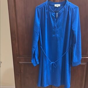 Vibrant Blue Long-Sleeve Dress